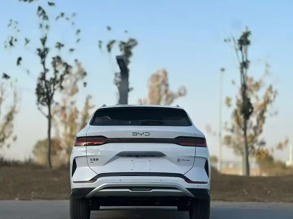 BYD PLUS New Energy 2023 из CN, фото 8