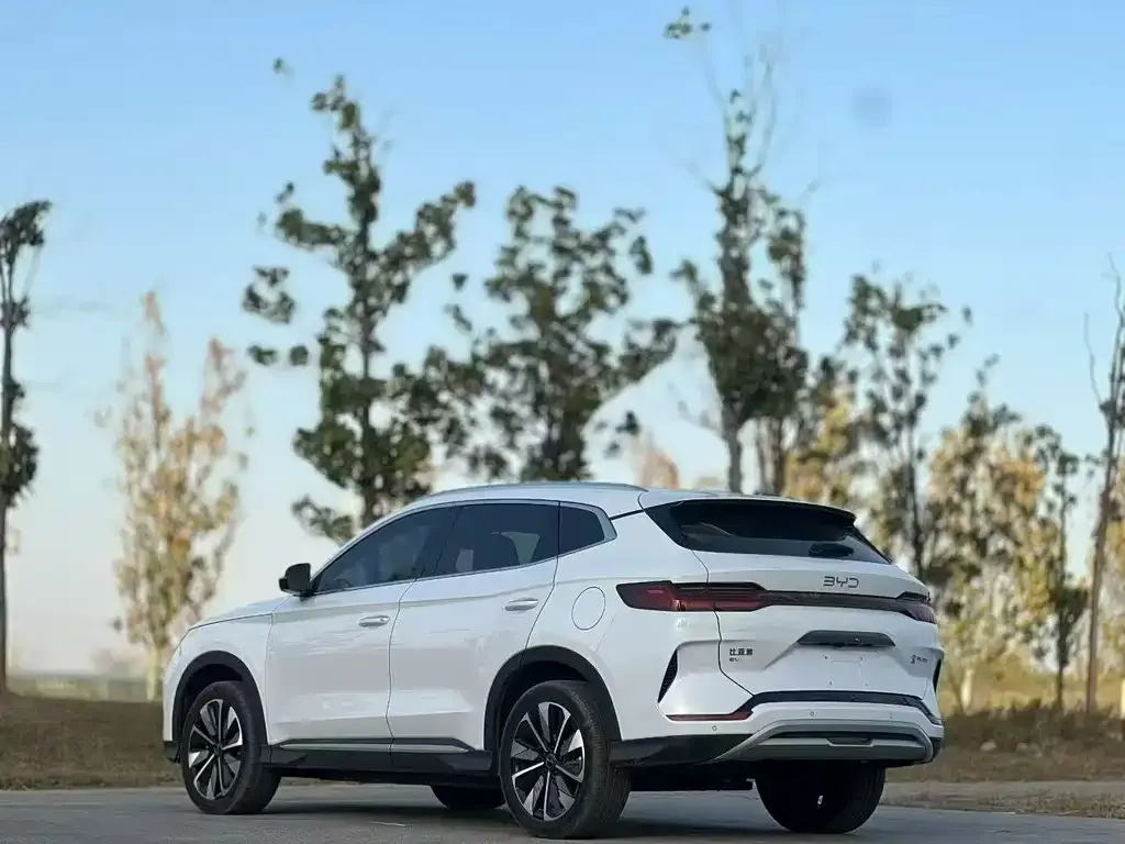 BYD PLUS New Energy 2023 из CN, фото 7
