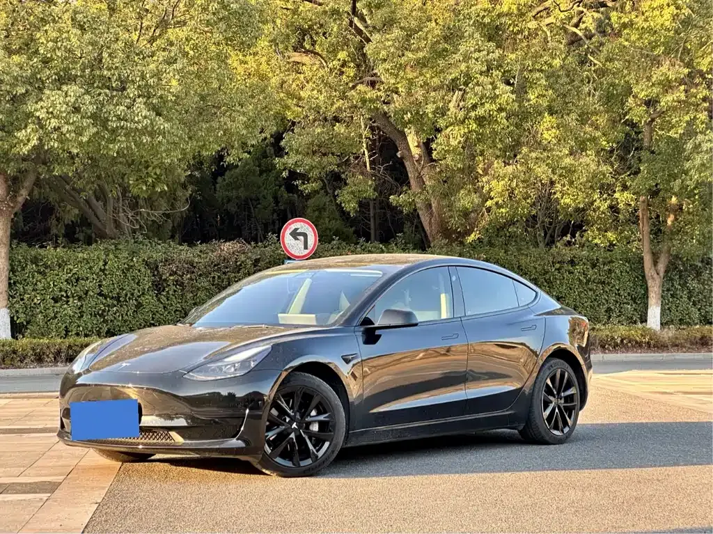 Tesla Model 3 2022 из CN, фото 1
