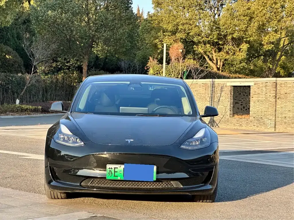 Tesla Model 3 2022 из CN, фото 2