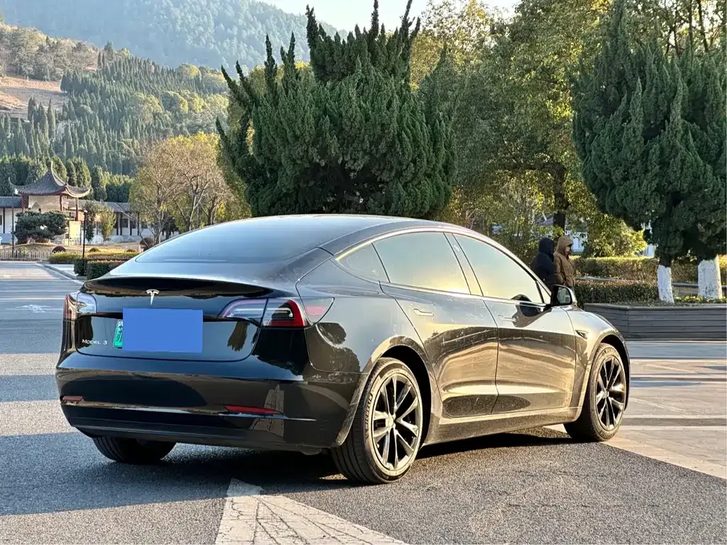 Tesla Model 3 2022 из CN, фото 3
