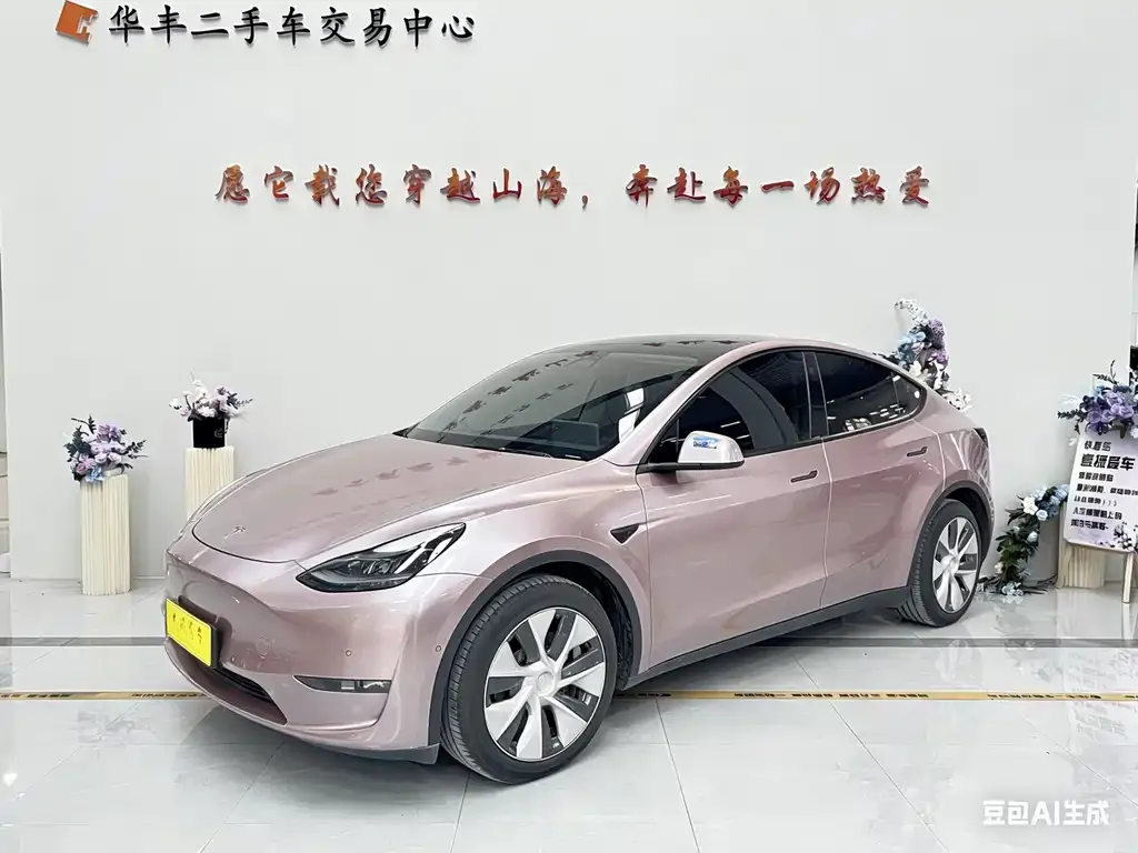 Tesla Model Y 2021 из CN, фото 1