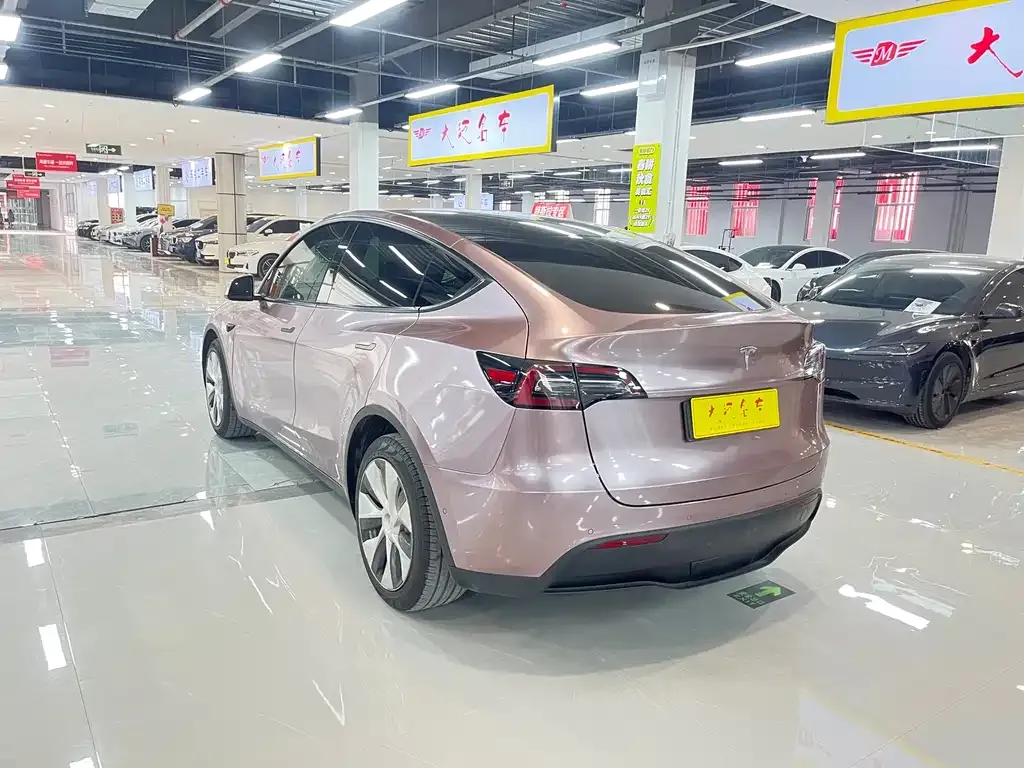 Tesla Model Y 2021 из CN, фото 5
