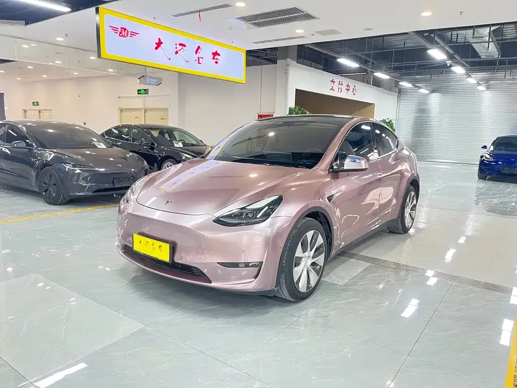 Tesla Model Y 2021 из CN, фото 7