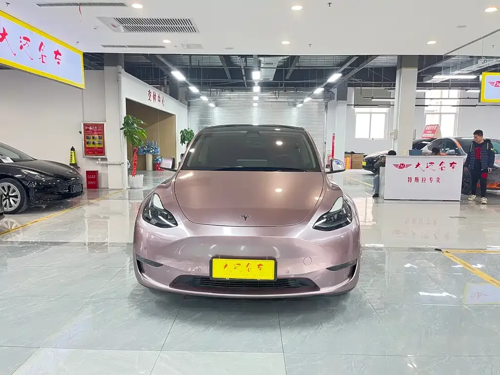 Tesla Model Y 2021 из CN, фото 9