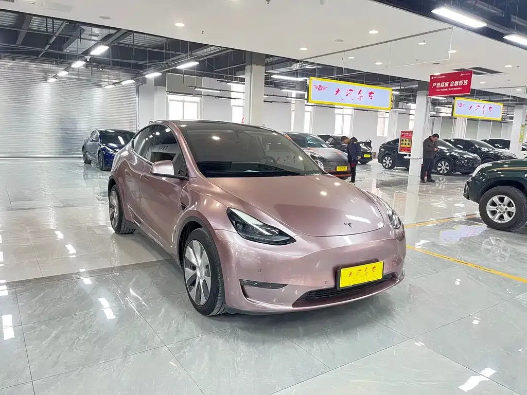 Tesla Model Y 2021 из CN, фото 10