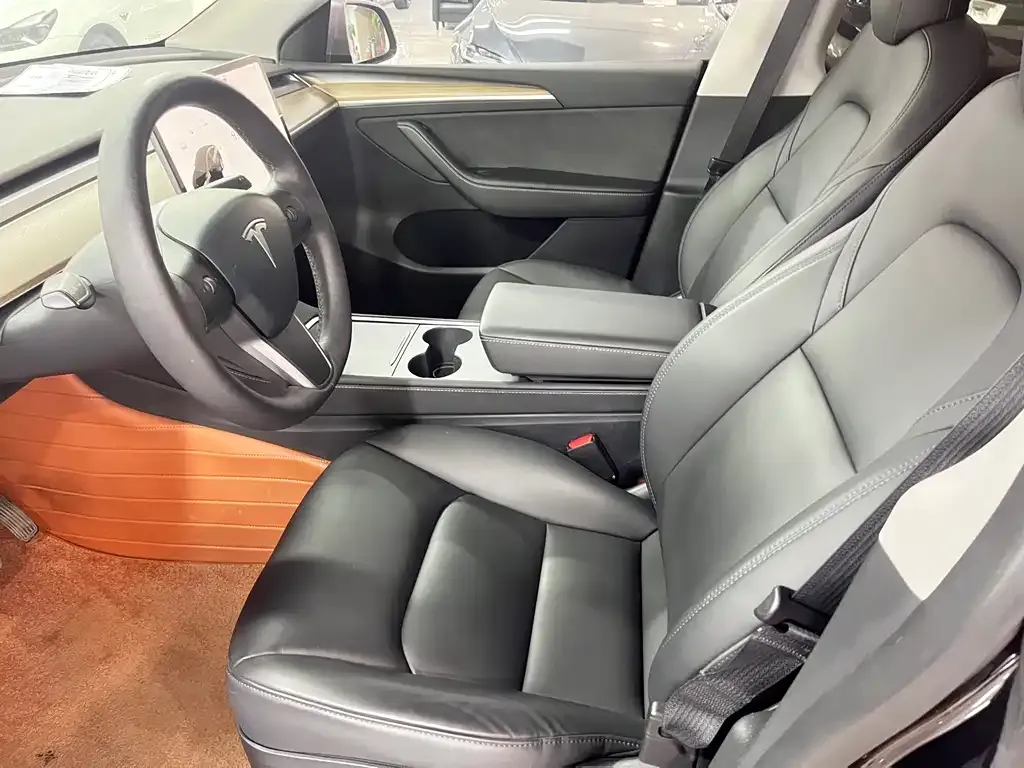 Tesla Model Y 2021 из CN, фото 3