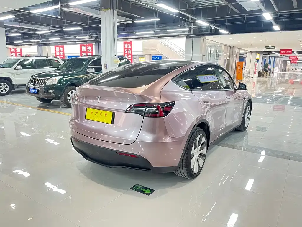Tesla Model Y 2021 из CN, фото 6