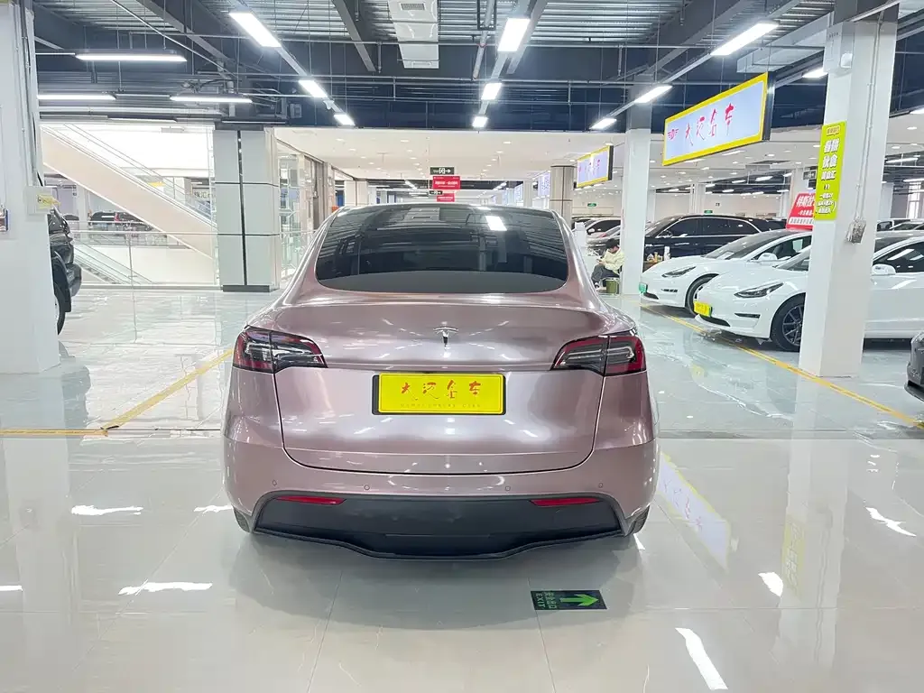 Tesla Model Y 2021 из CN, фото 4