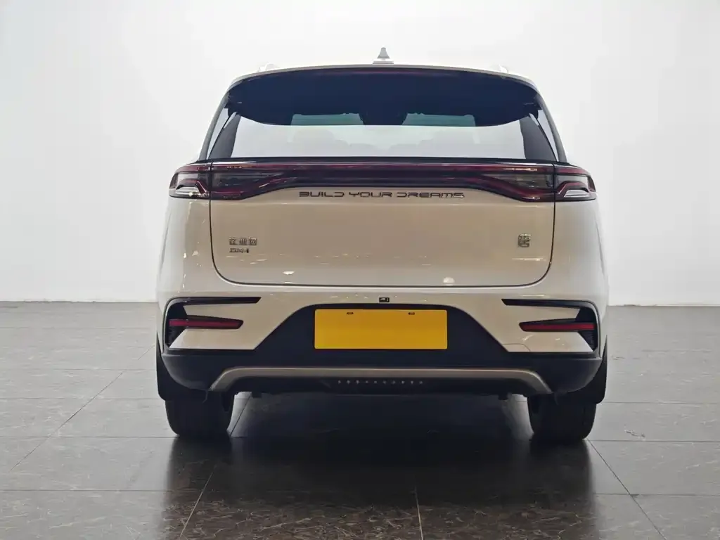 BYD Tang New Energy 2022 из CN, фото 3