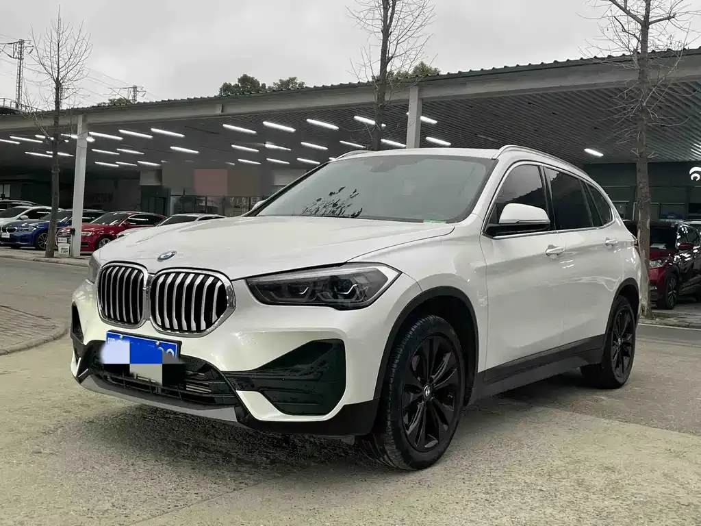 BMW X1 — фото 1