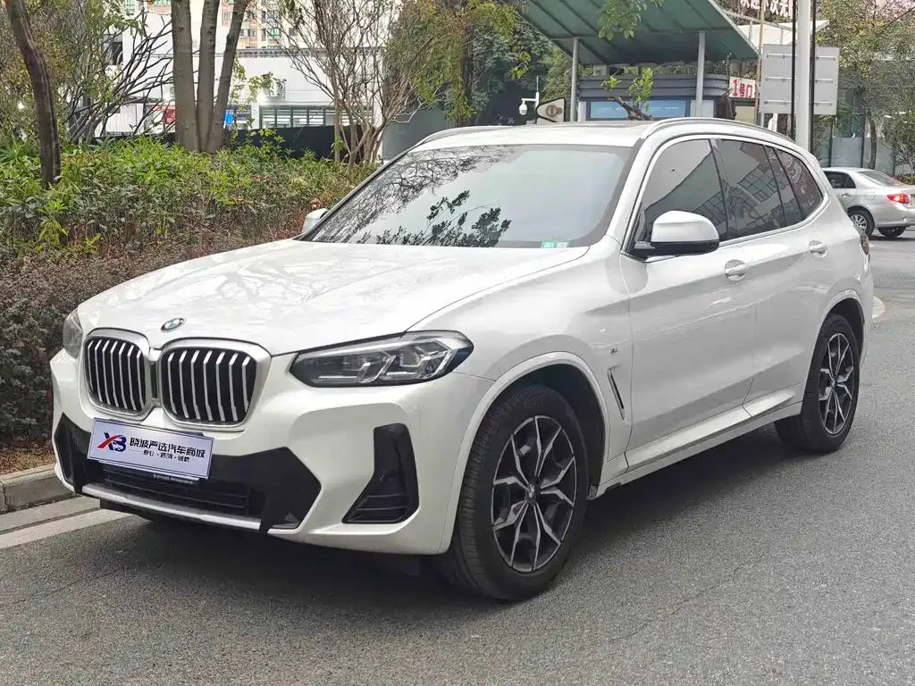 BMW X3 — фото 1