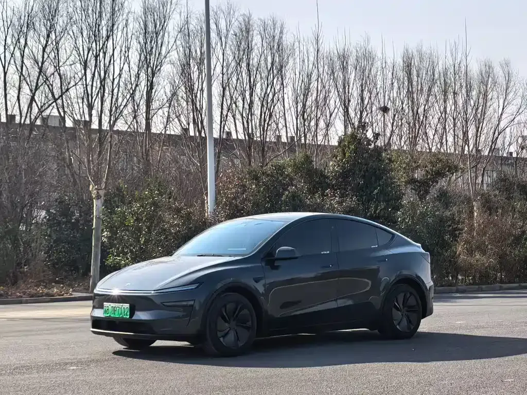 Tesla Model Y — фото 1