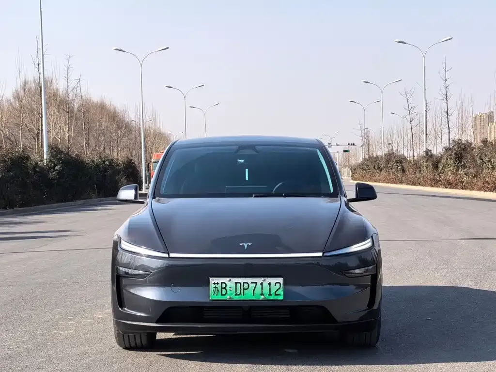 Tesla Model Y — фото 5