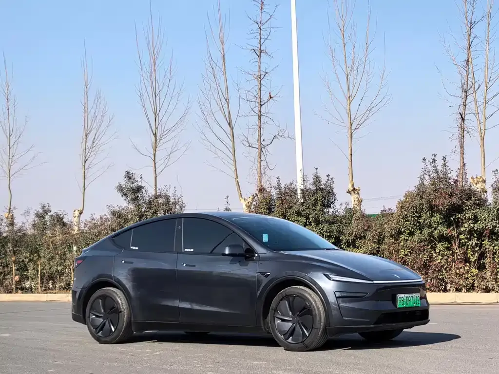 Tesla Model Y — фото 9