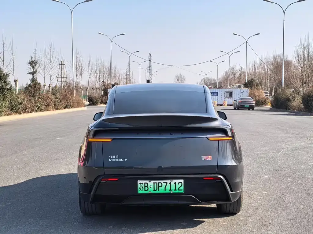 Tesla Model Y — фото 3