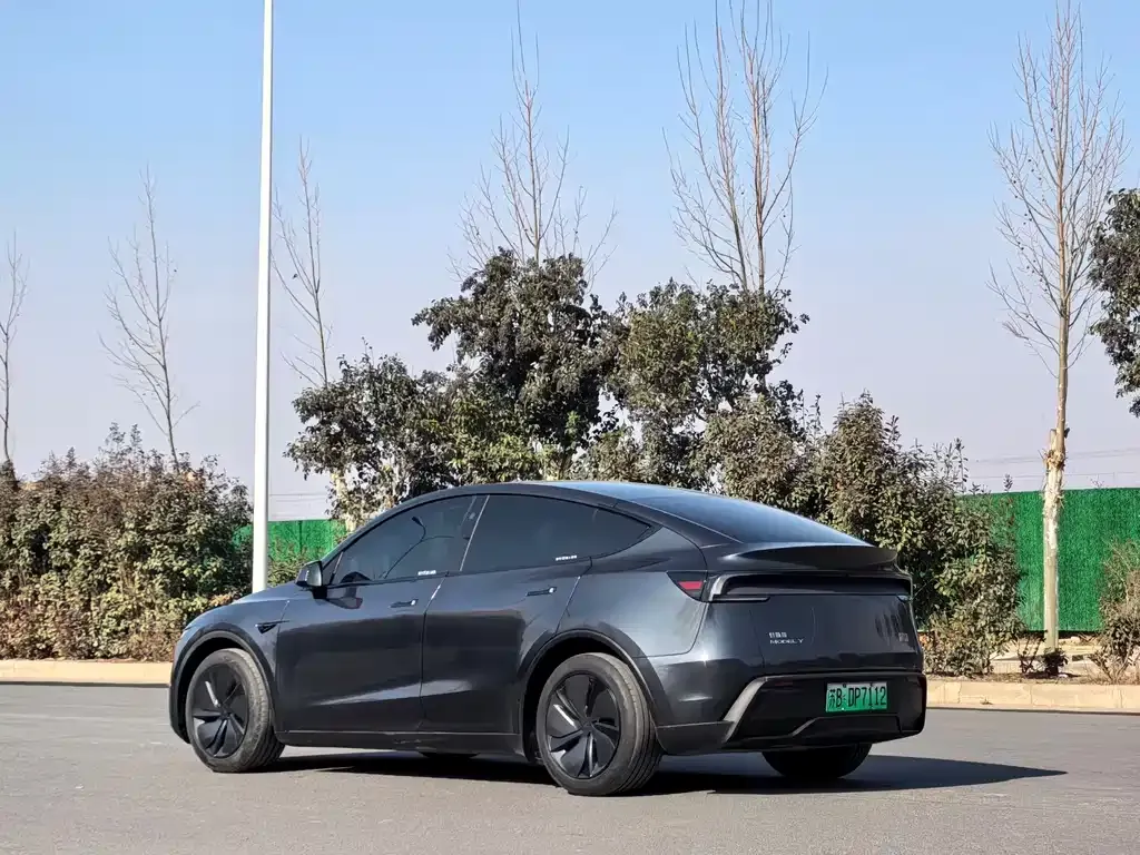 Tesla Model Y — фото 8