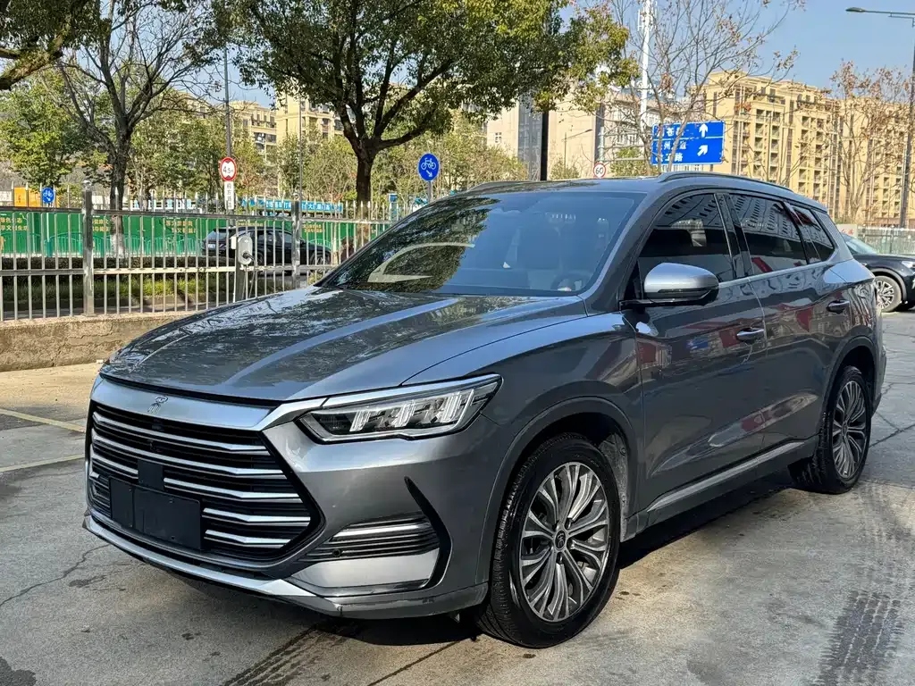 BYD Pro New Energy 2023 из CN, фото 1