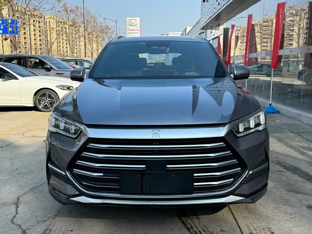 BYD Pro New Energy 2023 из CN, фото 4