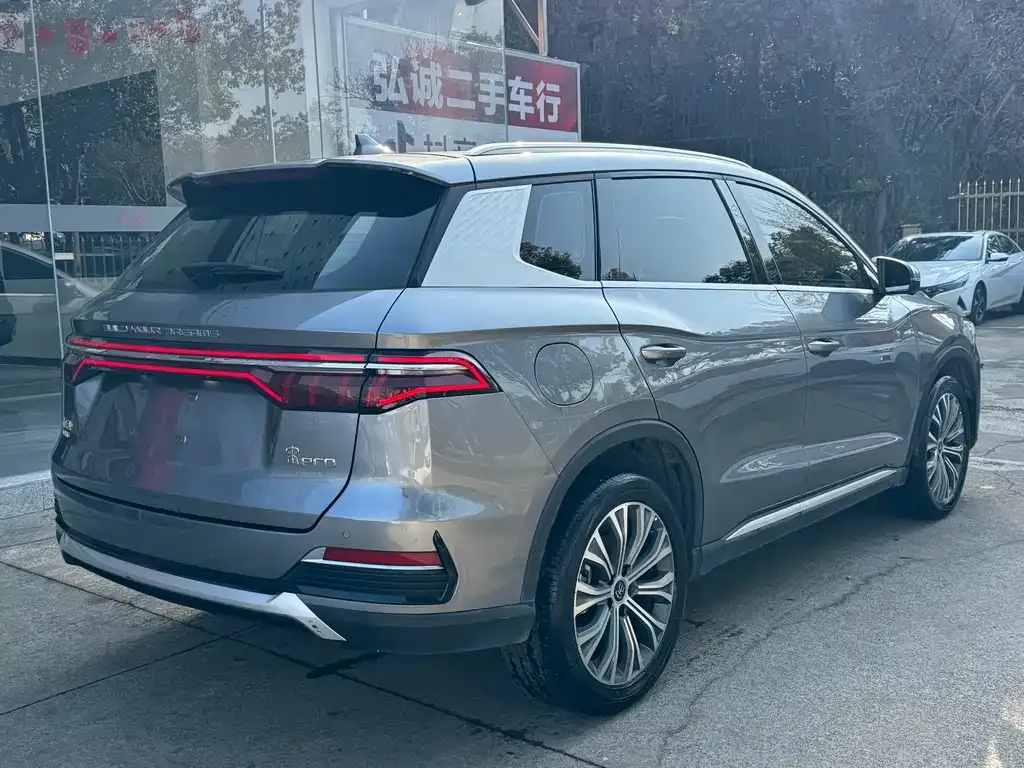 BYD Pro New Energy 2023 из CN, фото 6