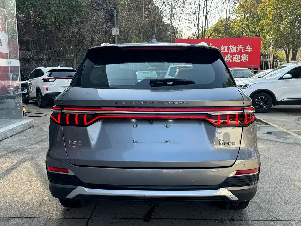 BYD Pro New Energy 2023 из CN, фото 9