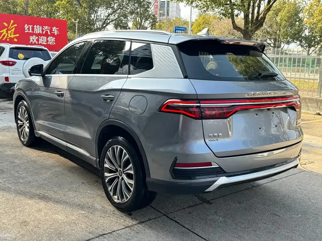 BYD Pro New Energy 2023 из CN, фото 7