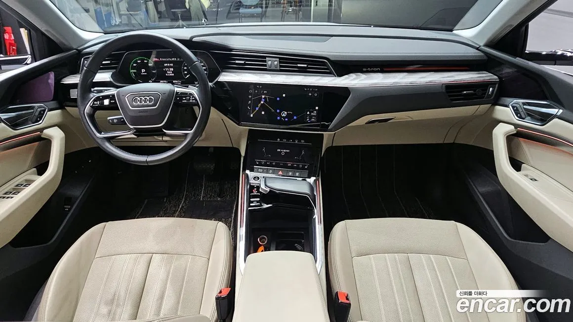 Audi e-tron 2022 из KR, фото 9