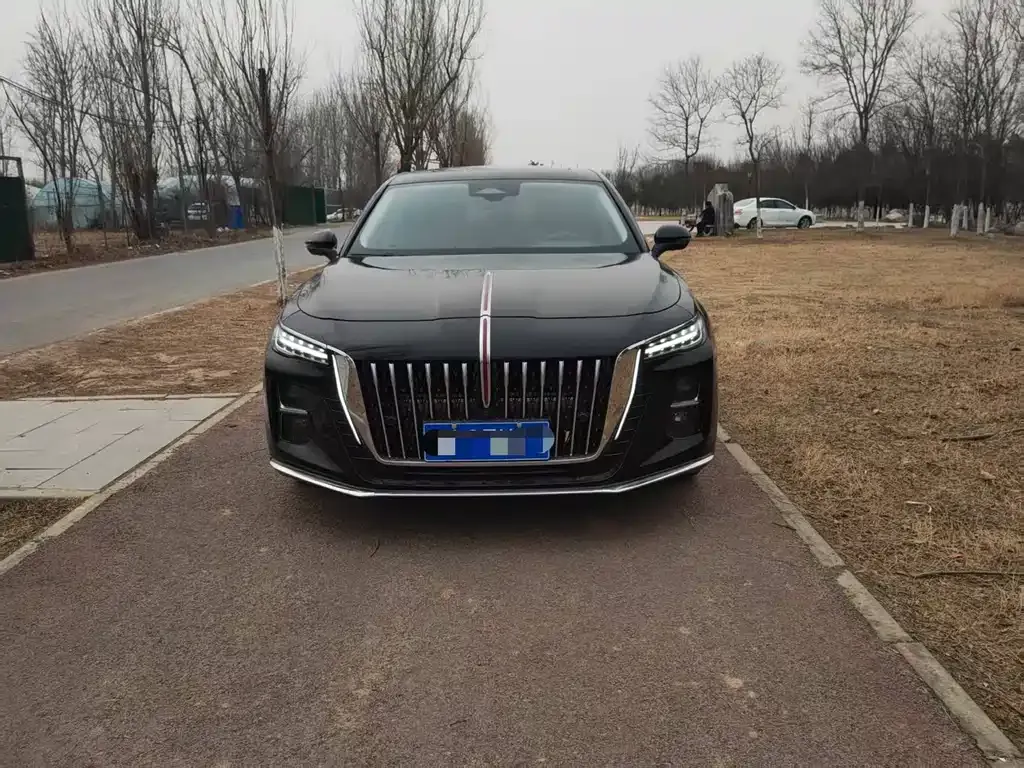 Hongqi H5 2025 из CN, фото 4