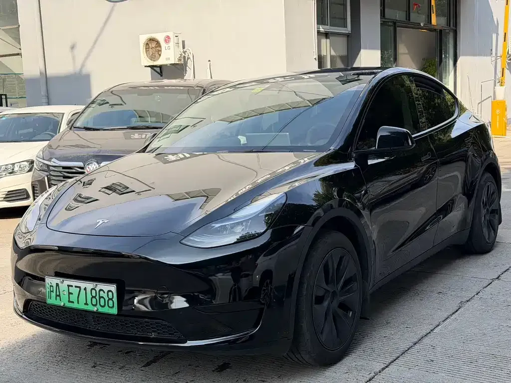 Tesla Model Y — фото 1