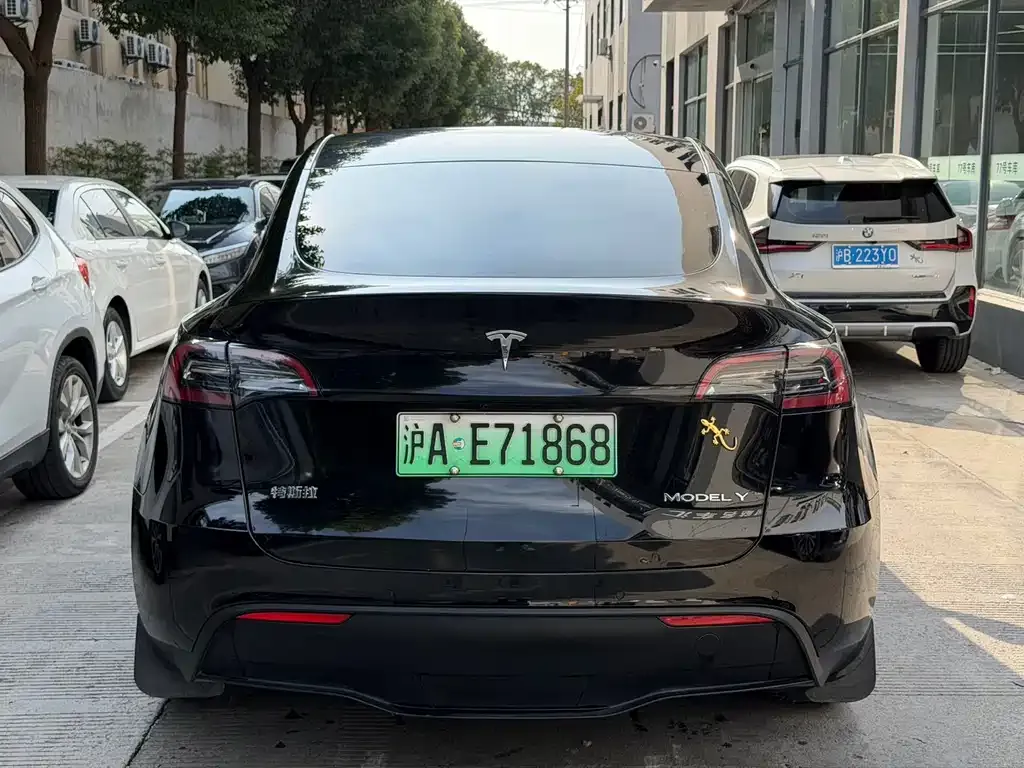 Tesla Model Y — фото 4
