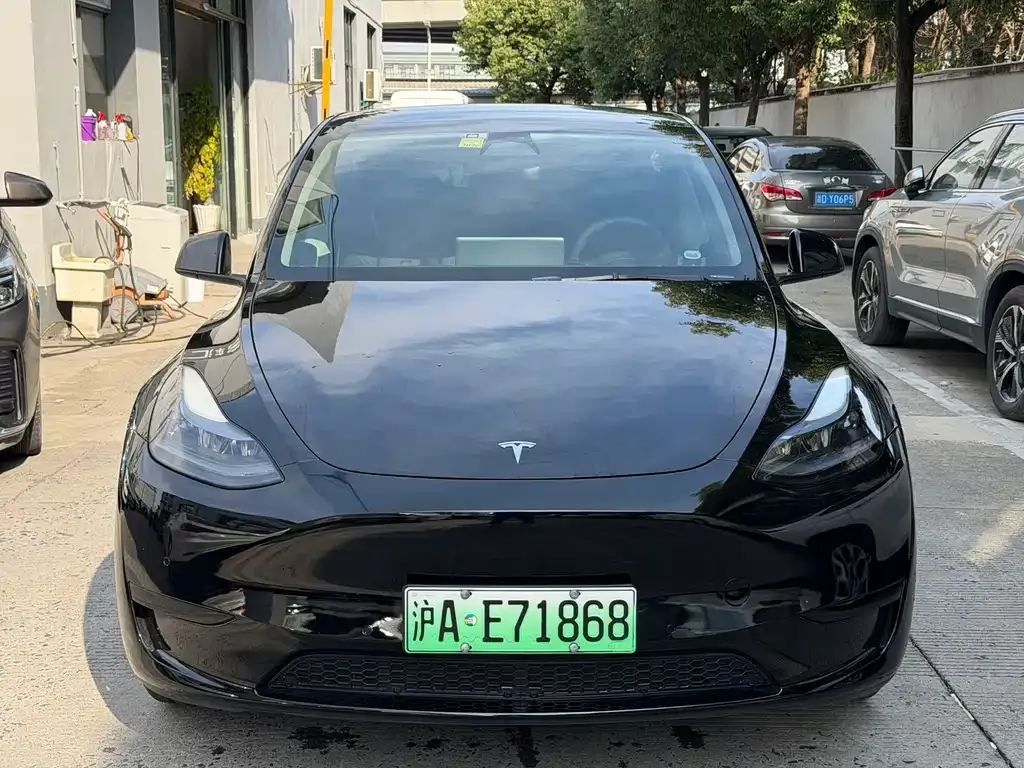 Tesla Model Y — фото 3