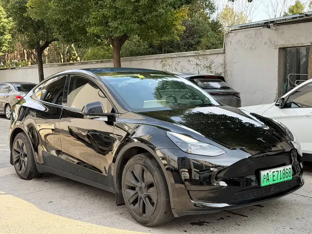 Tesla Model Y — фото 10
