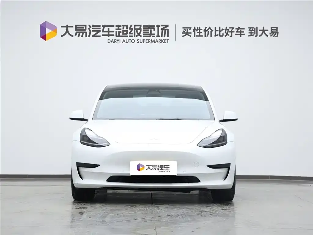 Tesla Model 3 2021 из CN, фото 2