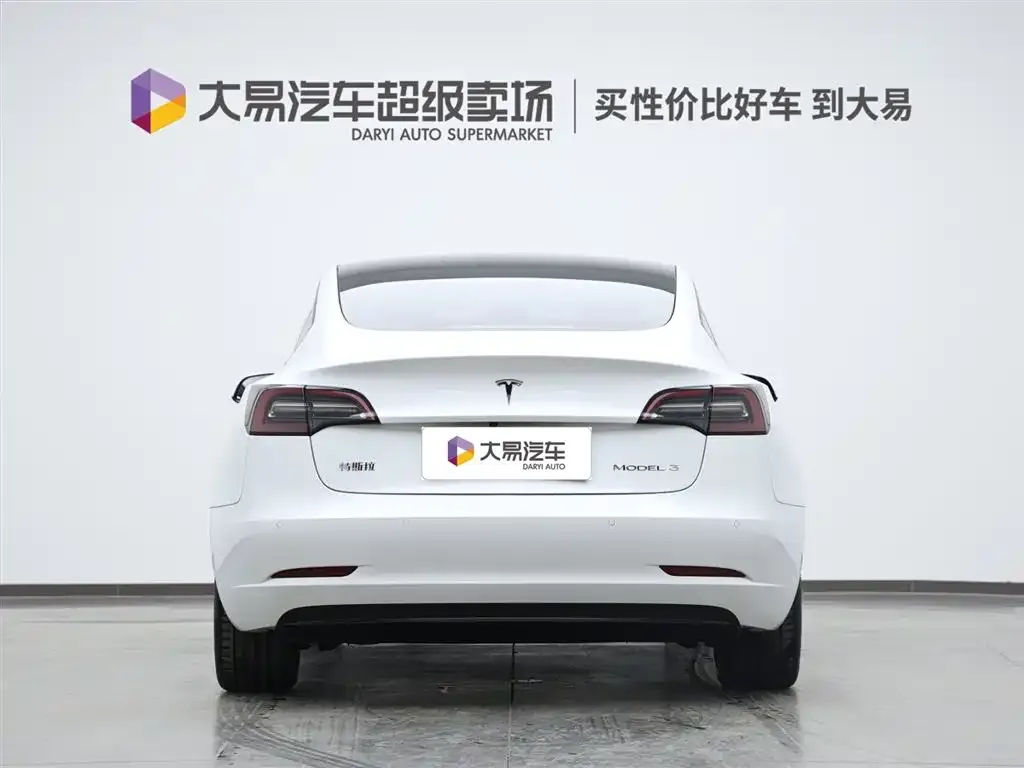 Tesla Model 3 2021 из CN, фото 3
