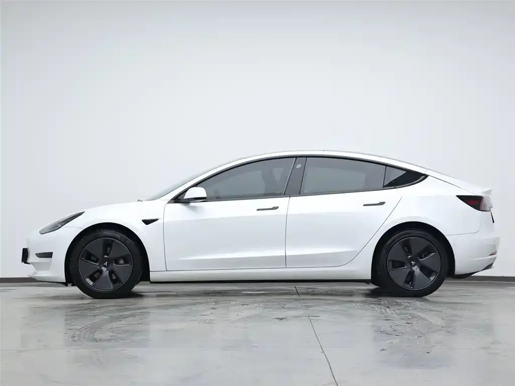 Tesla Model 3 2021 из CN, фото 8