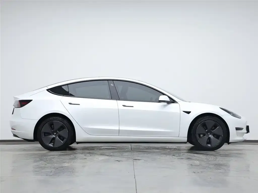 Tesla Model 3 2021 из CN, фото 6