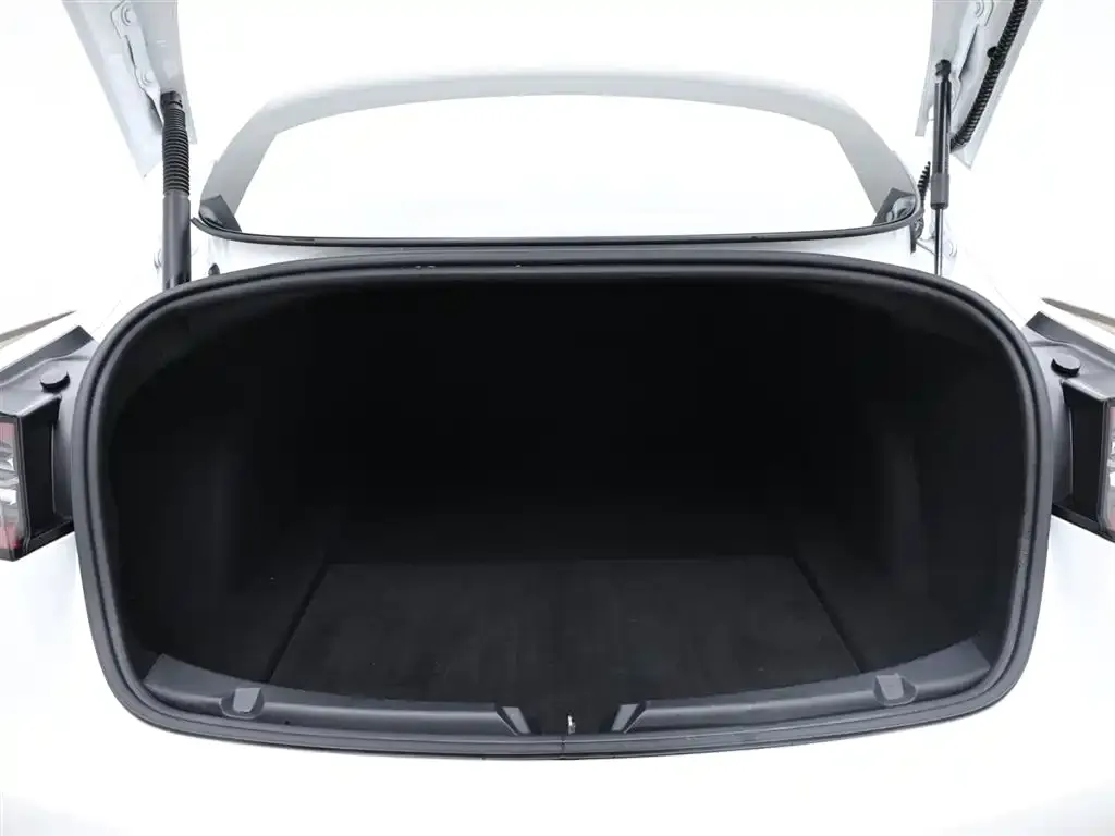 Tesla Model 3 2021 из CN, фото 7