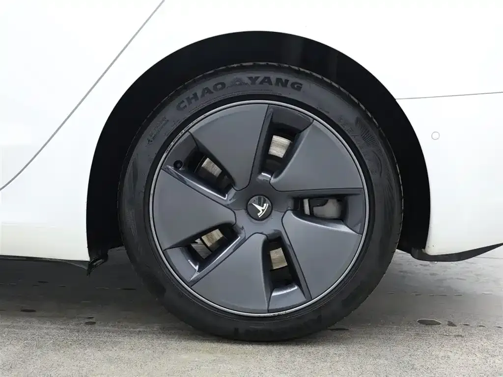 Tesla Model 3 2021 из CN, фото 4