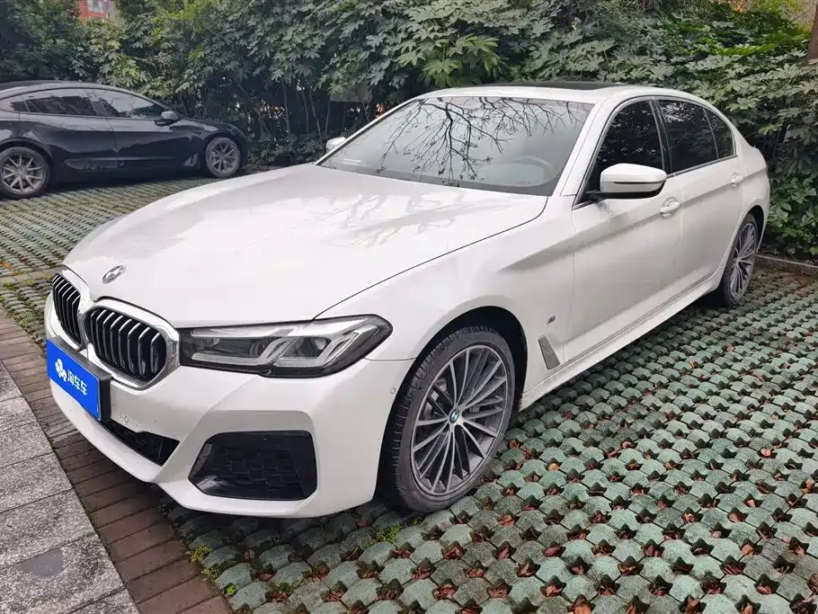 BMW 5 Series 2023 из CN, фото 1