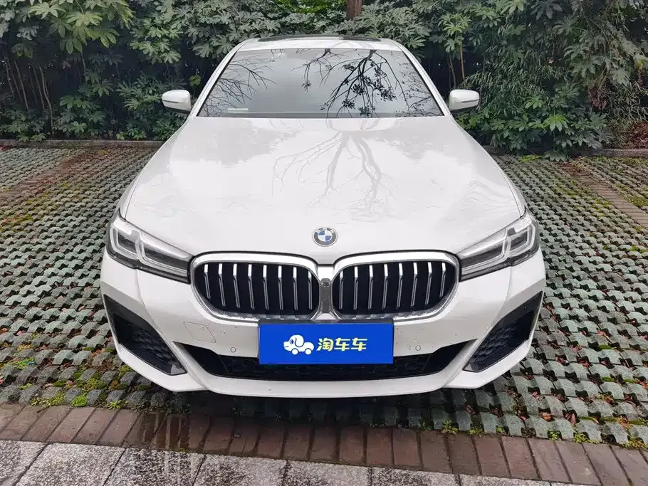 BMW 5 Series 2023 из CN, фото 10