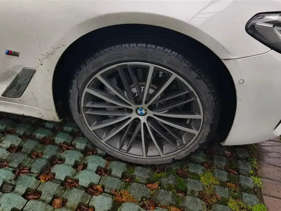 BMW 5 Series 2023 из CN, фото 6