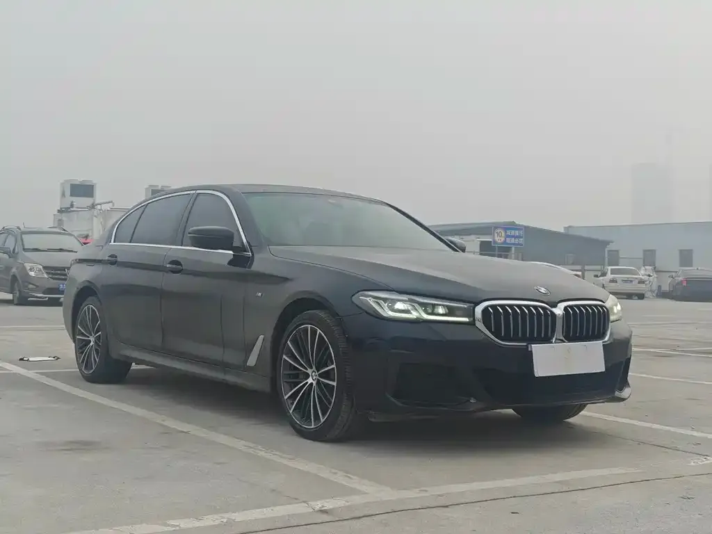 BMW 5 Series 2023 из CN, фото 4