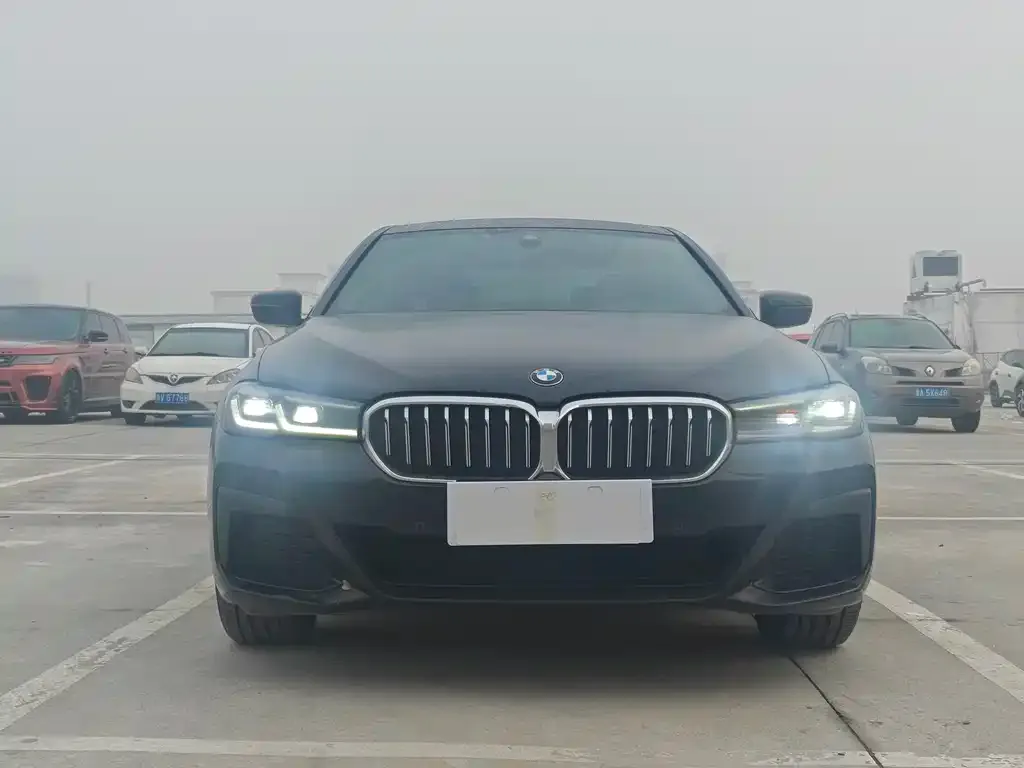BMW 5 Series 2023 из CN, фото 7