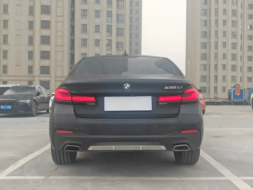 BMW 5 Series 2023 из CN, фото 6