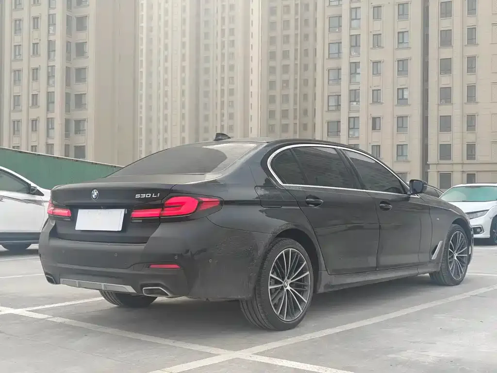 BMW 5 Series 2023 из CN, фото 10