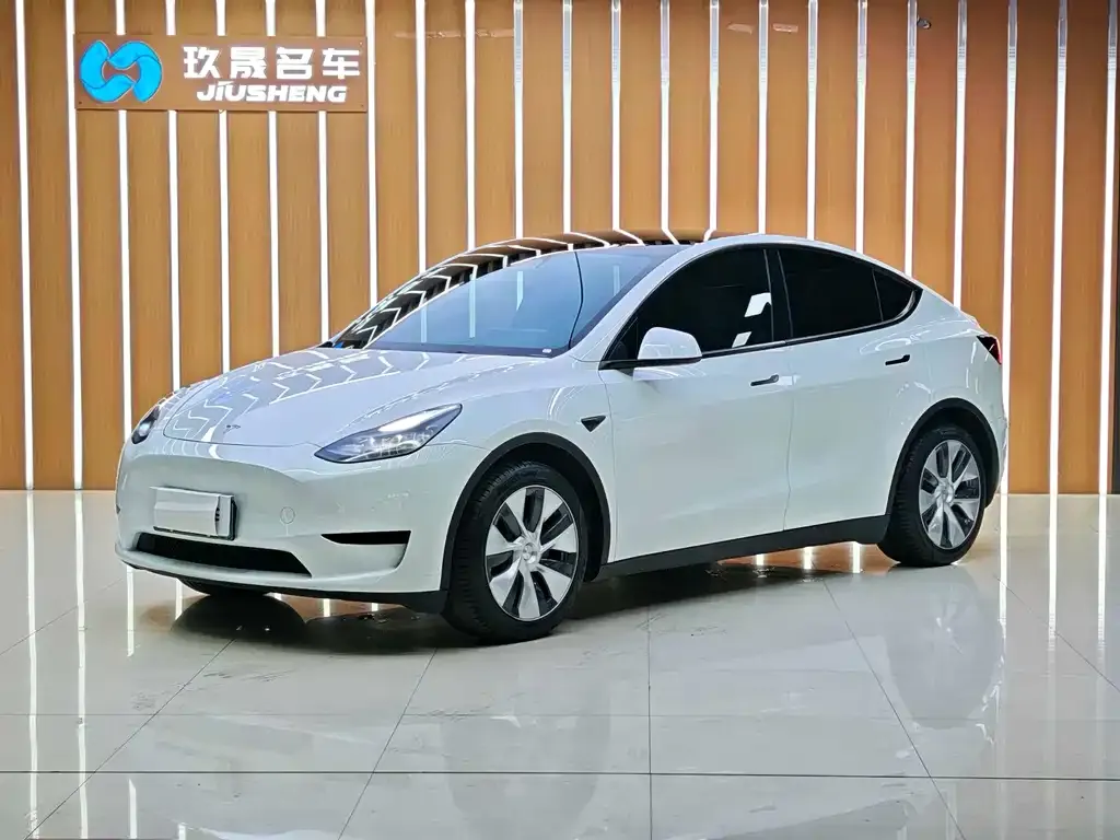 Tesla Model Y 2023 из CN, фото 1