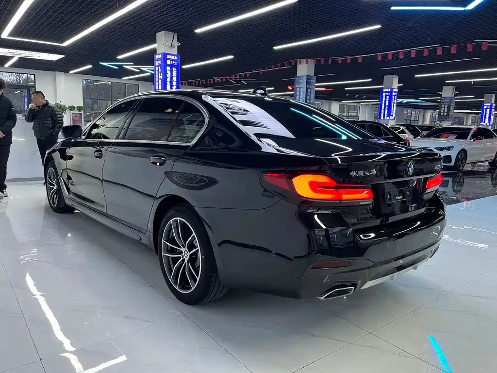 BMW 5 Series 2022 из CN, фото 10