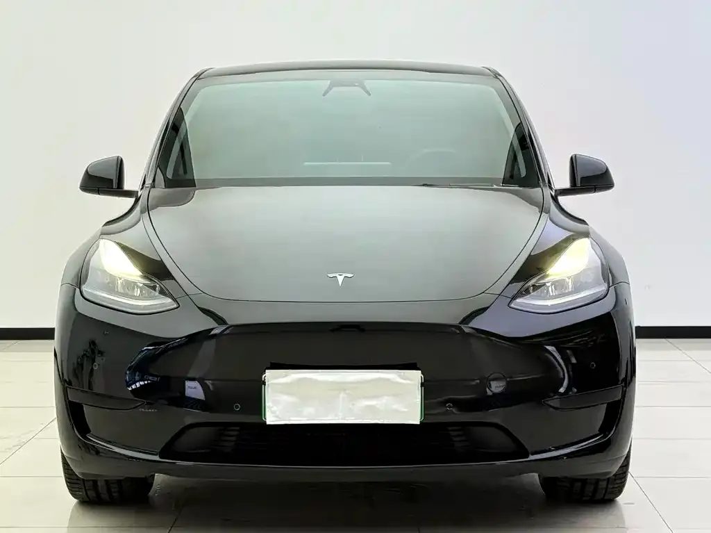 Tesla Model Y 2022 из CN, фото 5