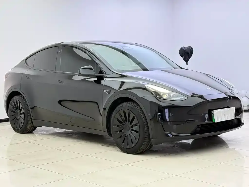 Tesla Model Y 2022 из CN, фото 4