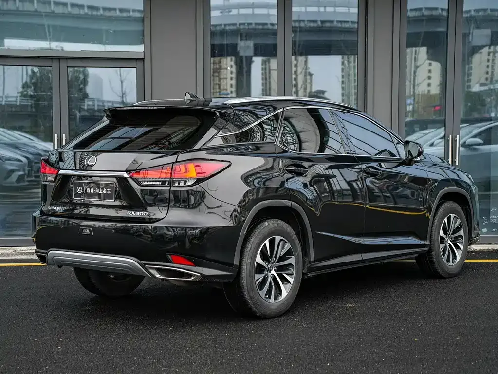 Lexus RX 2022 из CN, фото 9